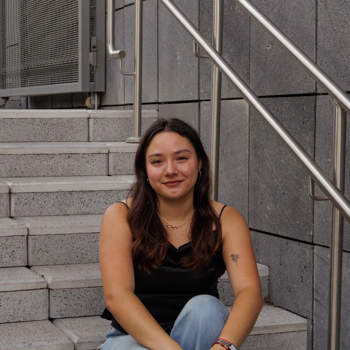Montserrat de la Cruz, Vice President